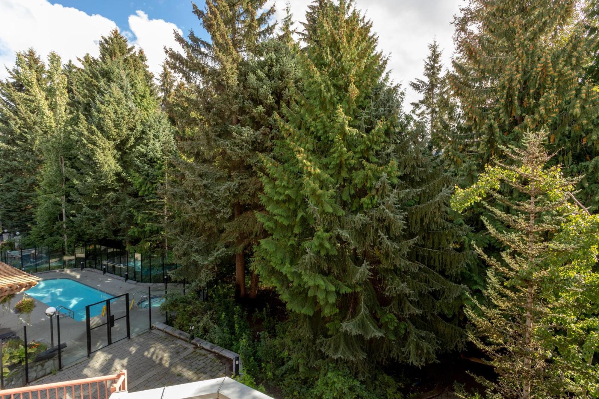Alpenglow Lodge Bear Wonder One Bedroom By Mva Γουίστλερ Εξωτερικό φωτογραφία